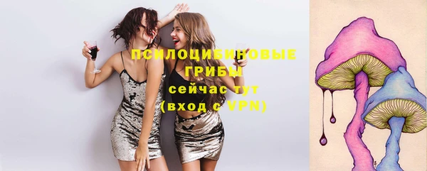 МДМА Алексеевка
